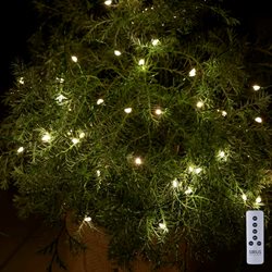 Sirius Maggie lyskæde - Klar/Grøn - med 40 LED