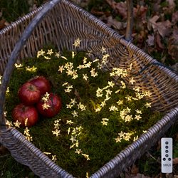 Sirius Trille lyskæde - Klar/Grøn - Cluster med 160 LED