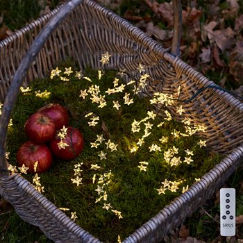 Sirius Trille lyskæde - Klar/Grøn - Cluster med 160 LED