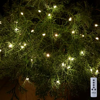 Sirius Knirke lyskæde - Klar/grøn - med 40 LED - til batteri